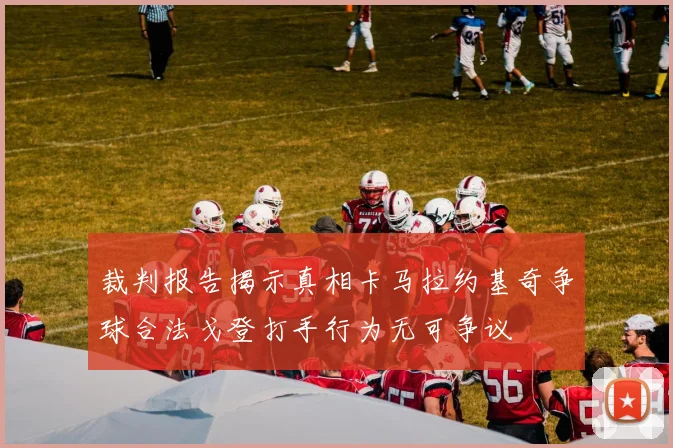 裁判报告揭示真相卡马拉约基奇争球合法戈登打手行为无可争议
